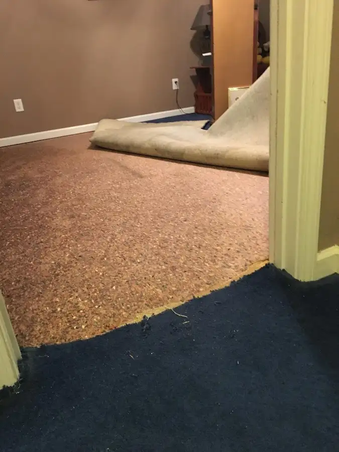 Carpet pad removal revealing water damage during Drying & Dehumidification in Winters