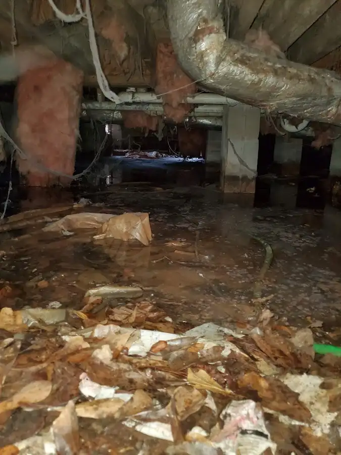Crawl space flood assessment for Leak Detection & Repair in Winters