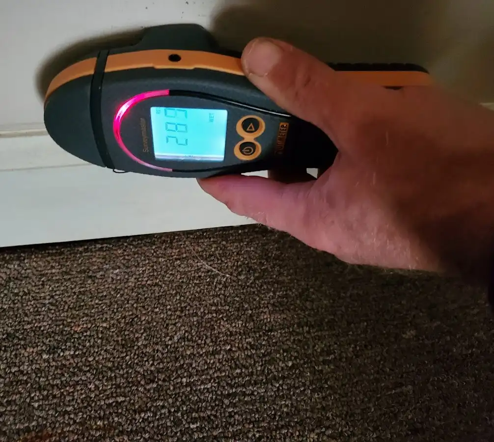 Moisture detection at baseboard during Storm Damage Restoration in Winters